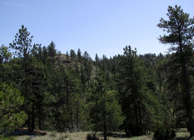 SC-28 - TBD Lone Rock Canyon Lane, Home with 0 bedrooms, 0 bathrooms and null parking in Hysham MT | Image 7