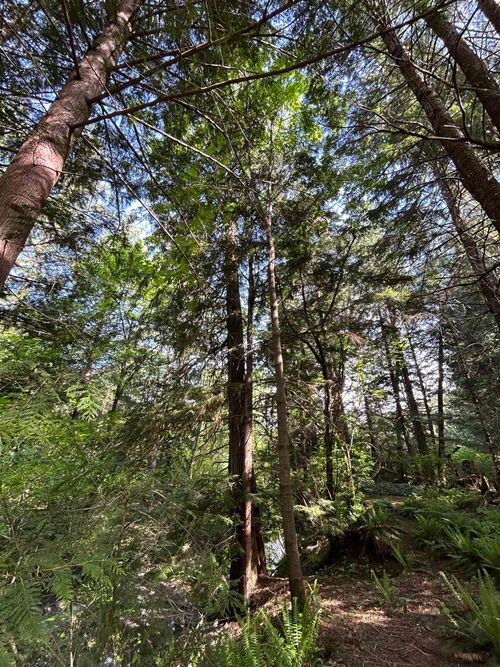 9063 Paradise Valley Rd, Brackendale, BC, V0N1H0 | Card Image