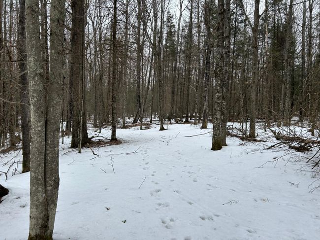 743 Woodlawn Rd, House other with 2 bedrooms, 1 bathrooms and null parking in Pickerel WI | Image 52