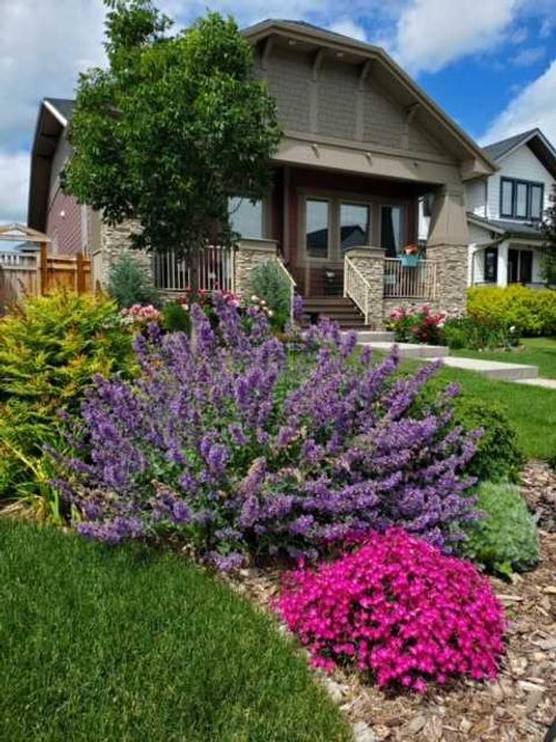 7 Arnica View, Rocky View County, AB, T3Z0E1 | Card Image