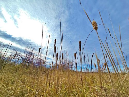 4.89 Acres At N Galvin Avenue, Marshfield, WI, 54449 | Card Image