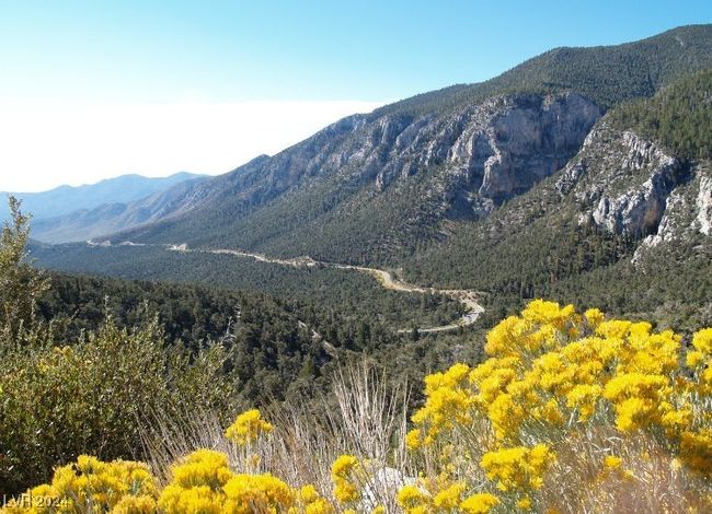 MT. CHARLESTON AREA - Scenic Route Home | Image 42