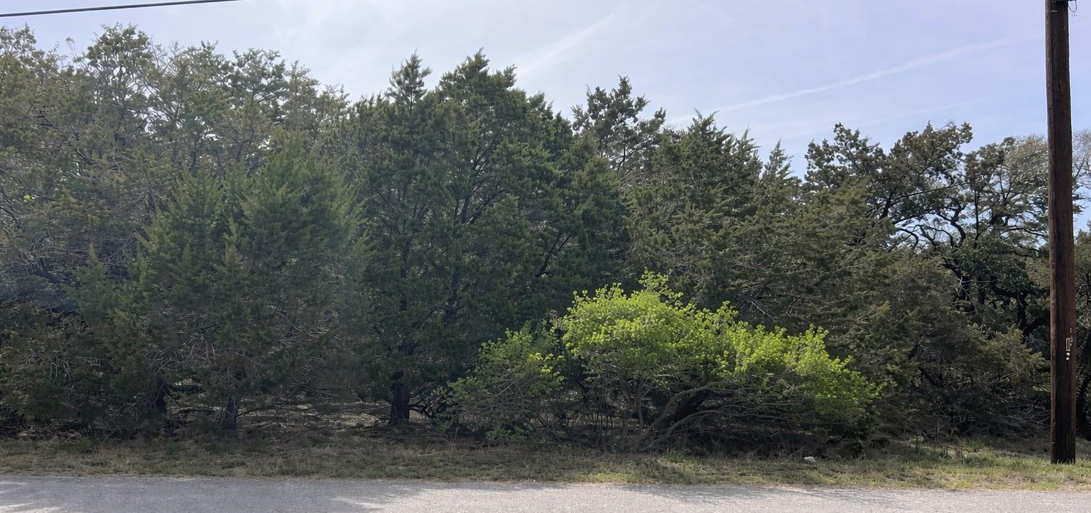 Land in Lago Vista 3