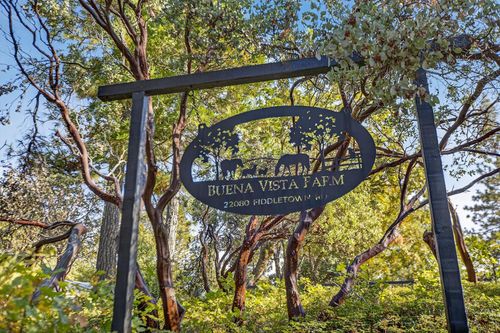 22080 Fiddletown Rd, Volcano, CA, 95689-9676 | Card Image