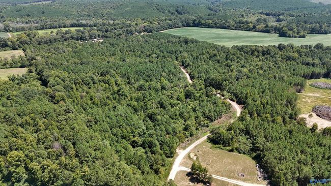 002 Hwy 68, Home with 0 bedrooms, 0 bathrooms and null parking in Gaylesville AL | Image 8