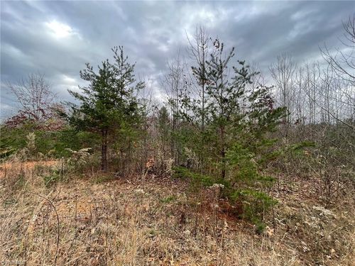 Lot 12 Pulco Lane, Ronda, NC, 28670 | Card Image