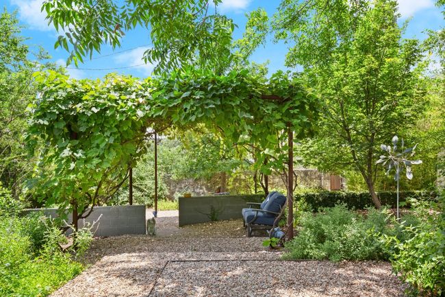 10x6 fruiting grape vines. Currently producing grapes- must see! | Image 24