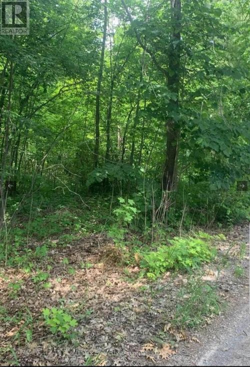 Lot 12 Suter Drive, Kawartha Lakes (Laxton/Digby/Longford), ON, K0M1B0 | Card Image