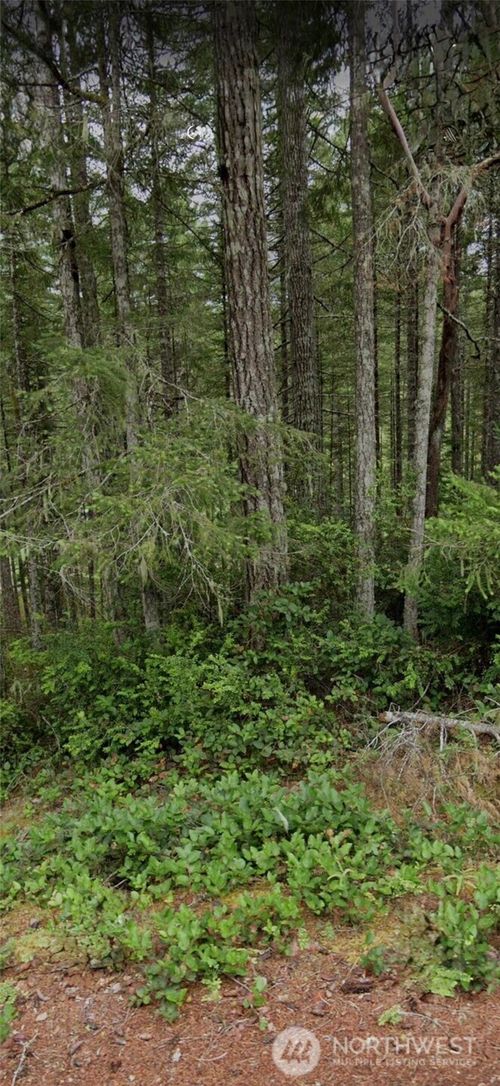 1221 Ne Collins Lake Dr, Tahuya, WA, 98588-8911 | Card Image