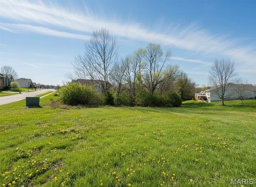 807 Liberty Creek Dr, Wentzville, MO, 63385-3253 | Card Image