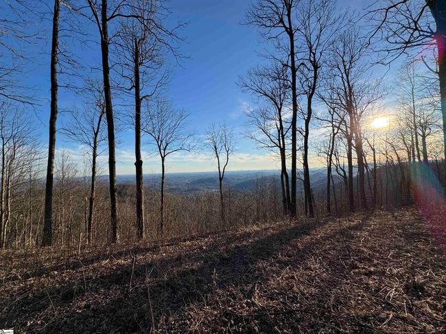 278 Bella Vista Ct, Home with 0 bedrooms, 0 bathrooms and null parking in Zirconia NC | Image 8