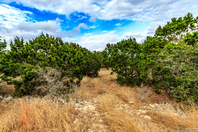 205 Bindweed Ln, Home with 0 bedrooms, 0 bathrooms and null parking in Spring Branch TX | Image 12