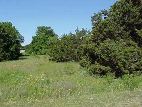29102 Greenwood Drive, Whitney, TX, 76692 | Card Image