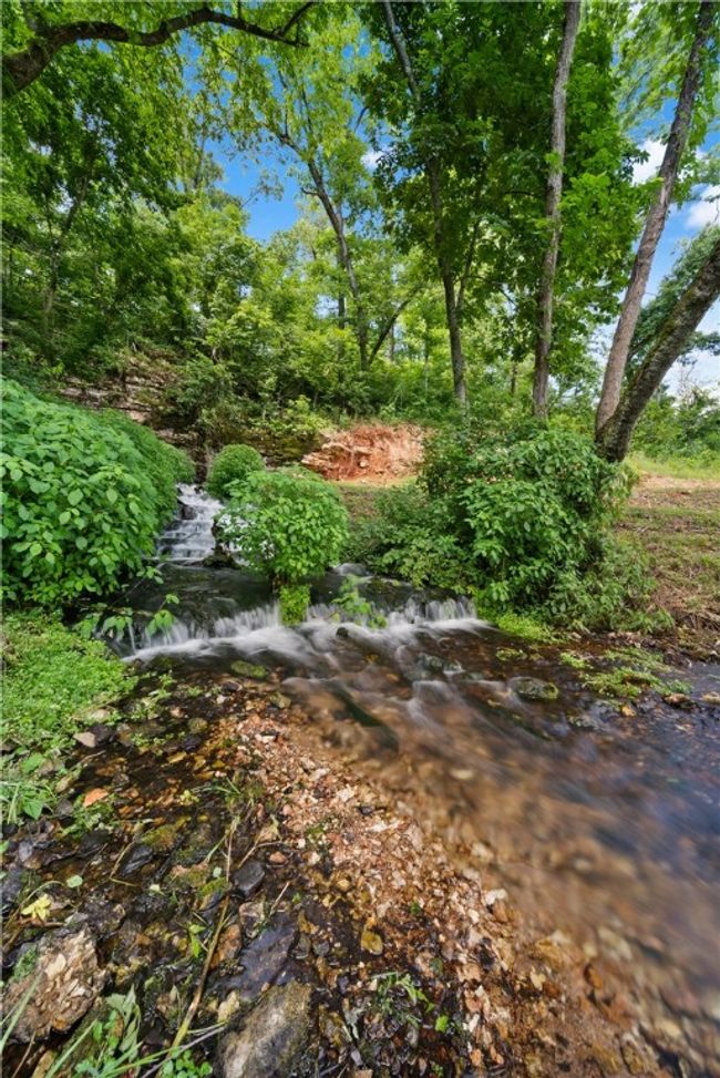 Stillhouse Spring waterfall | Image 15