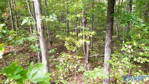 4.16 Acres N Stewart Lane, Rising Fawn, GA, 30738 | Card Image