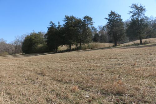 3 Highway 39, Athens, TN, 37303 | Card Image