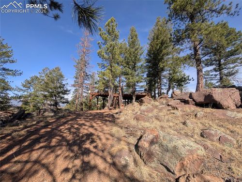 1176 Trail Creek Rd, Lake George, CO, 80827 | Card Image