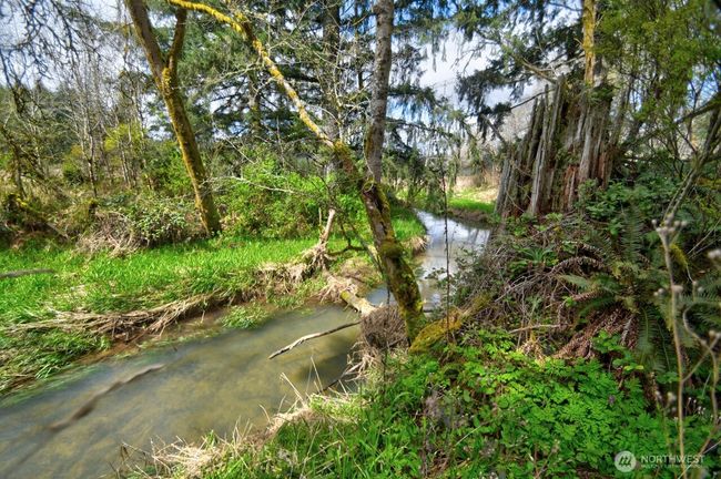 1159 King Rd, House other with 3 bedrooms, 2 bathrooms and 2 parking in Winlock WA | Image 24