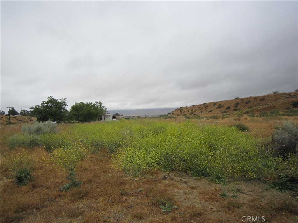 Residential in Cuyama 3