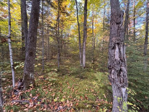 445 Club Lake Rd, Cable, WI, 54821 | Card Image