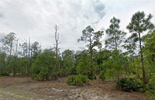 203 Wellington Ave, LEHIGH ACRES, FL, 33936-2133 | Card Image