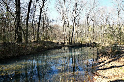 TBD Old Boles Rd, Parks, AR, 72950 | Card Image