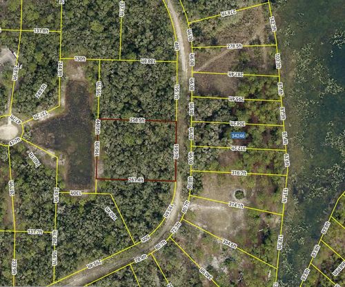 34245 Berryhill Dr, Webster, FL, 33597-9413 | Card Image