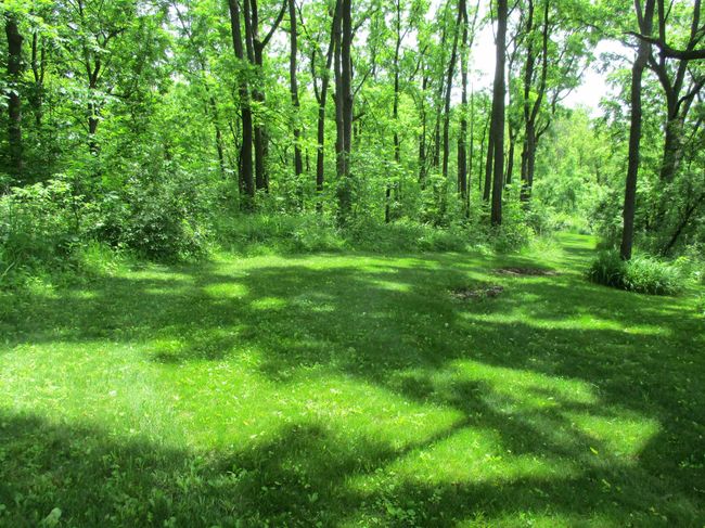 10627 Zanon Dr, House other with 4 bedrooms, 2 bathrooms and null parking in Cazenovia WI | Image 72