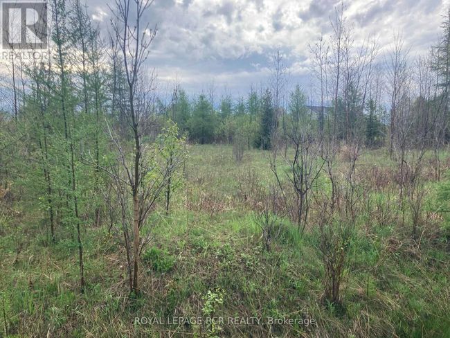 ptlot 8 Con 2, Home with 0 bedrooms, 0 bathrooms and null parking in Amaranth ON | Image 4