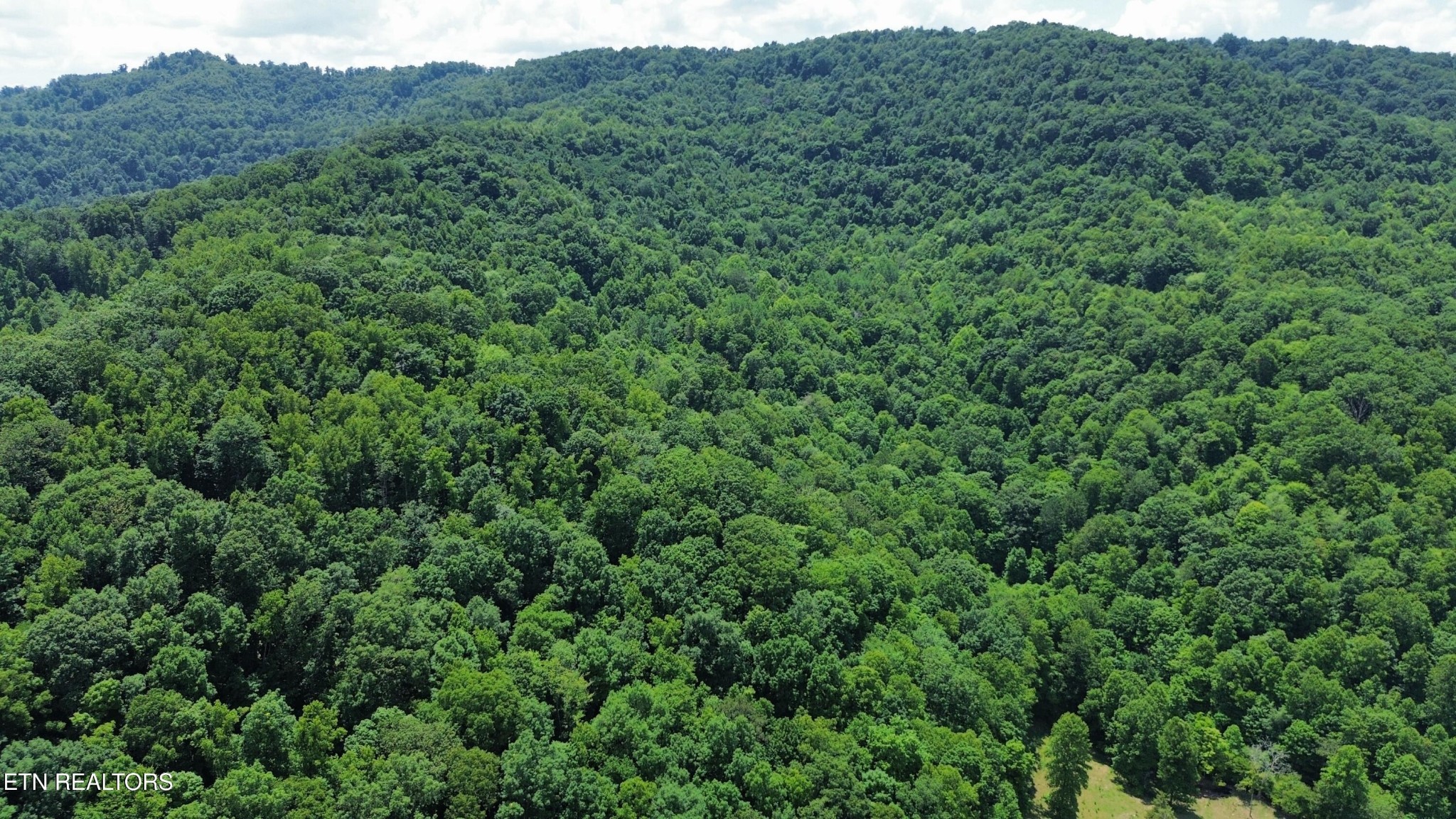 Land in La Follette 2