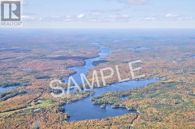 1358 Kushog Lake Rd, House other with 4 bedrooms, 3 bathrooms and 6 parking in Algonquin Highlands ON | Image 47