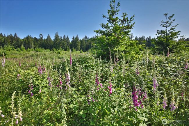 2062 Goodell Rd, Home with 0 bedrooms, 0 bathrooms and null parking in Freeland WA | Image 13