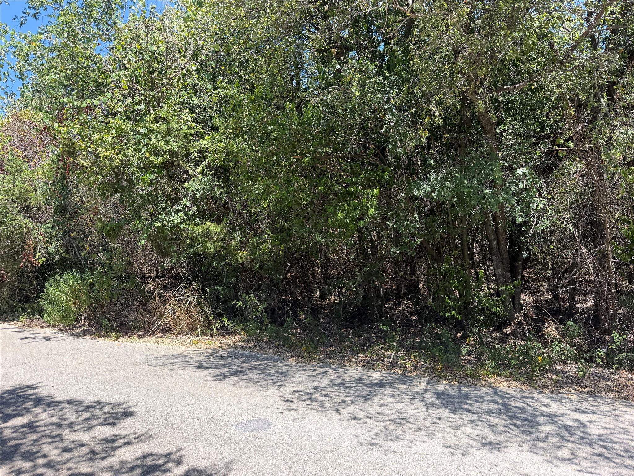 Land in Austin 3