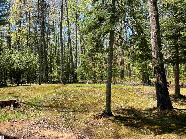 1295 Wa Ba Tesse Dr Ne, House other with 2 bedrooms, 1 bathrooms and null parking in Kalkaska MI | Image 26
