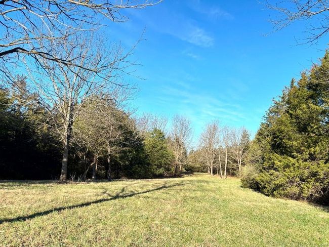 View of yard with a forest view | Image 22