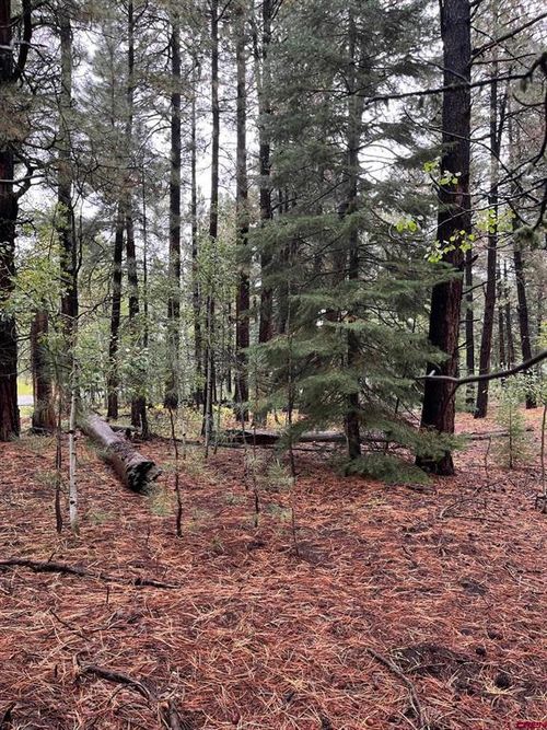 47 Deer Trail Ln, Bayfield, CO, 81122-9748 | Card Image