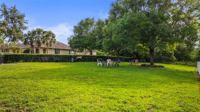 Dog Park | Image 42