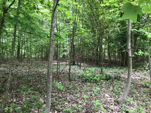 512 Wilderness Way, Dunlap, TN, 37327 | Card Image