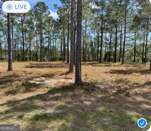 135 Pinto Ct, Woodbine, GA, 31569 | Card Image