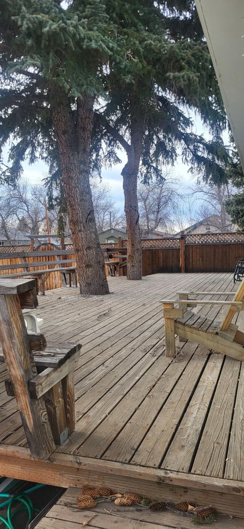 509 S Michigan St, Conrad, MT, 59425-2234 | Card Image