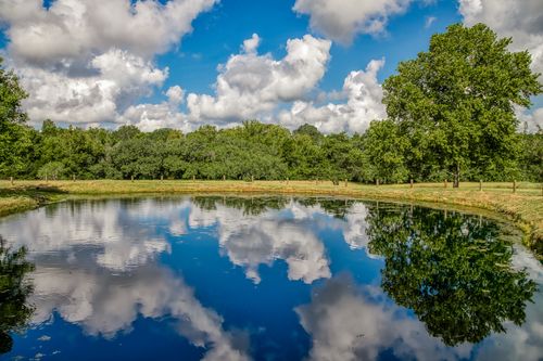 515 E State Loop 543, West Point, TX, 78963-5187 | Card Image