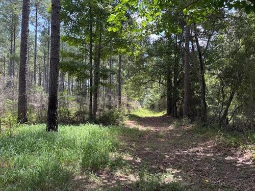 182 Hwy 44, Jayess, MS, 39641 | Card Image