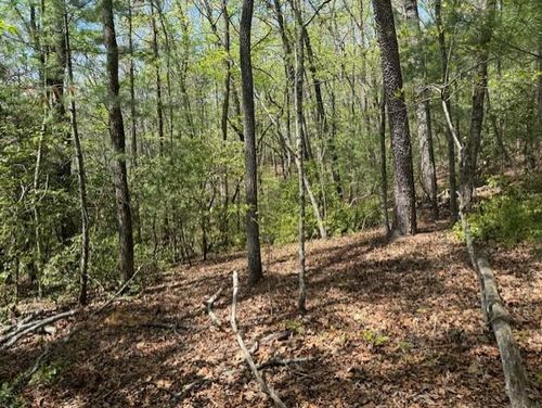 Lot 9 Marjorie Ave, Ellijay, GA, 30536-4258 | Card Image