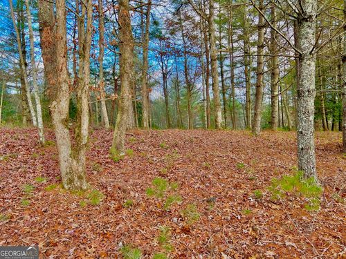 0 Hawks View, Morganton, GA, 30560 | Card Image