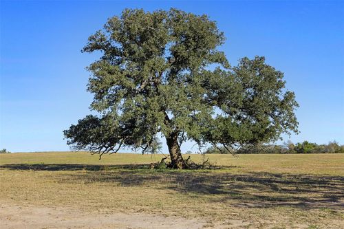 0 Stockade Ranch Rd, Paige, TX, 78659 | Card Image