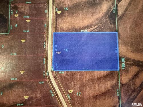 2439 Olof Krans Ave, Galva, IL, 61434-1187 | Card Image