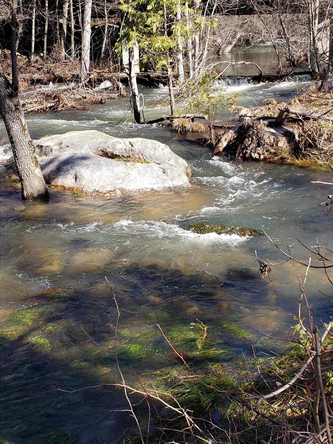 Land in North Fork 3