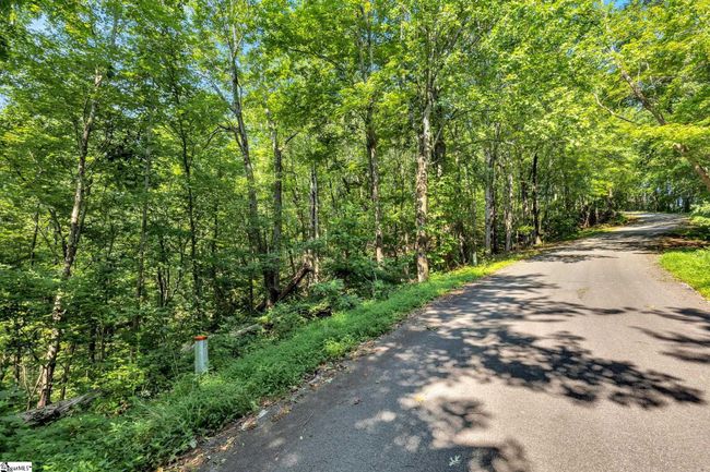 00 Old Chapman Trl, Home with 0 bedrooms, 0 bathrooms and null parking in Pickens SC | Image 12