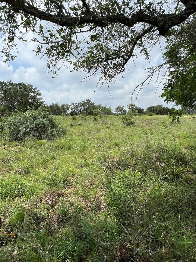 23 - 23 Lipan Apache Run, Home with 0 bedrooms, 0 bathrooms and null parking in Blanco TX | Image 16