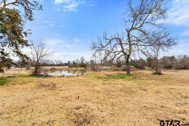 15037 State Highway 110, Home with 0 bedrooms, 0 bathrooms and null parking in Van TX | Image 41